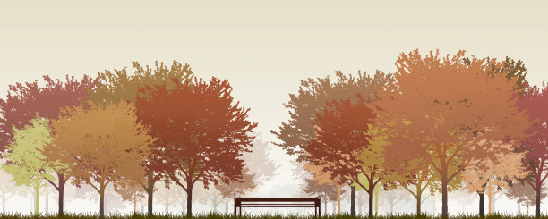 公园里秋天的树木间的长椅图片下载