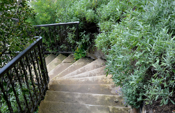螺旋形的仓库长满了鼠尾草。花园楼梯浪漫的露台。锻铁栏杆和扶手图片下载