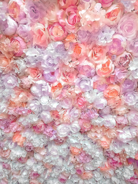 背景是彩色的粉色和紫色纸玫瑰，模糊和柔和的色调。婚礼的邀请图片下载