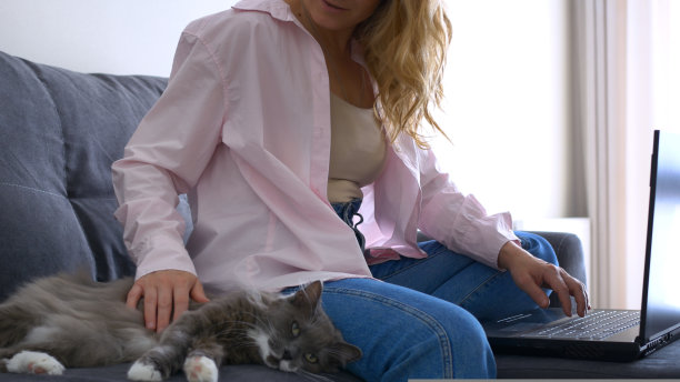 女孩正在沙发上的黑色笔记本电脑上工作，大猫躺在附近。慵懒的家畜在女孩的手上发冷。作业,自由。居家办公呆在家里。业务从家里。图片下载