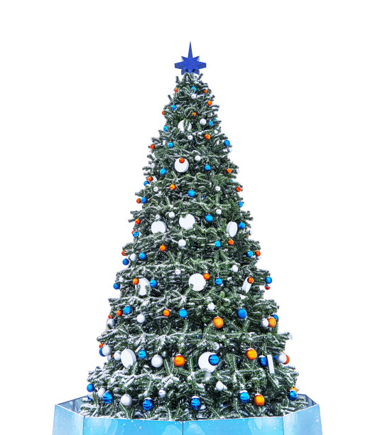 雪白的圣诞树，蓝色的星星孤立在白色的背景上。用红球装饰的漂亮圣诞树。图片下载