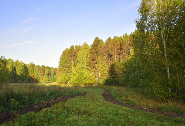 森林公园在初秋图片下载