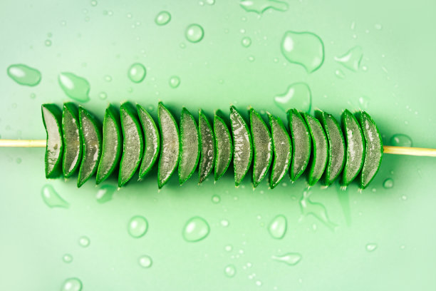 在绿色背景上的芦荟植物切割，俯视图。芦荟被广泛应用于草药和化妆品行业。图片下载