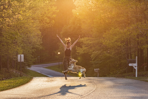快乐的年轻女子跳跃与家庭宠物金毛猎犬在明亮的金色阳光图片下载