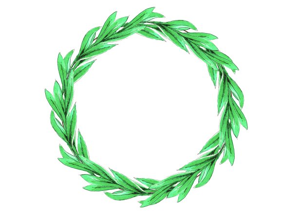 圣诞绿色花环与白色背景。绿色的冷杉枝和红色的浆果。水彩插图。图片下载
