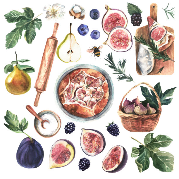 离生的无花果在白色上。水彩手绘插图。带有裁剪路径的图图片下载