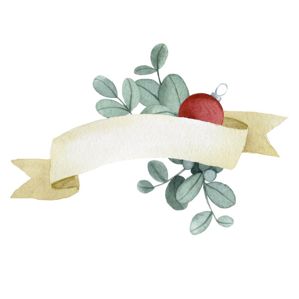 水彩绘画。古色古香的丝带，桉树树叶，棉花花的卷轴。圣诞装饰图片下载