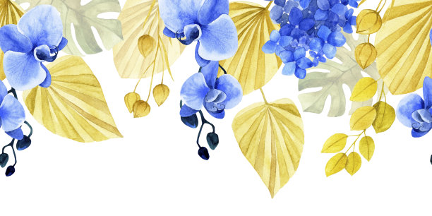 水彩图案，无缝边界，框架干燥的热带树叶和花朵波西米亚风格。干花，棕榈叶，蓝兰花图片下载