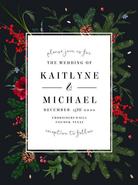 翡翠圣诞绿化，红色冬季浆果，杜松，雪松，翡翠松，云杉矢量设计框架图片下载