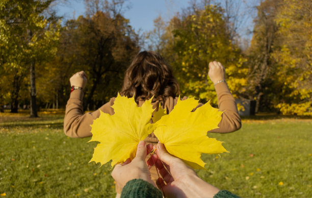 特写，在女子背后举起双手的背景上，手掌拿着像翅膀一样的黄色枫叶图片下载