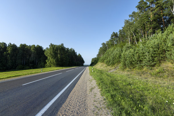 铺有植物的公路图片下载
