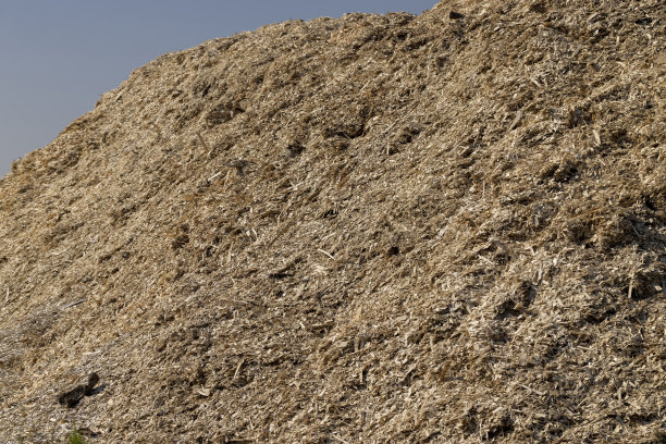 一家木工公司的一大堆木屑图片下载