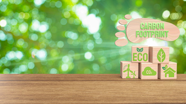 生态概念3d渲染的碳足迹图片下载
