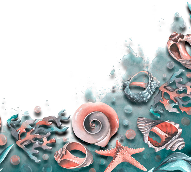 模板，白色背景与不同的碎贝壳和海星在水中。水彩插图。一大群鲸鱼的组成。用于装饰和设计。图片下载