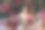 一个女人坐在一篮牡丹旁边的讲台上，正在收集一束花。图片下载
