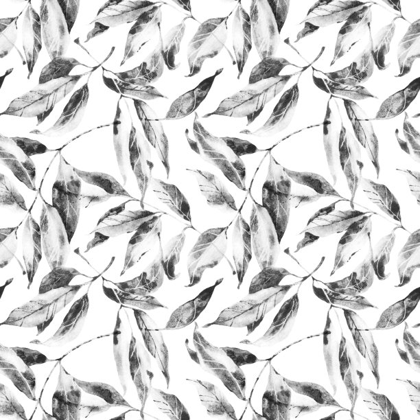 无缝隙的图案与干燥的叶子图片下载