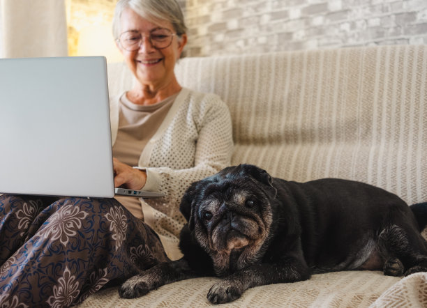 穿着休闲装的快乐的老年妇女坐在家里的沙发上，用笔记本电脑浏览她的老哈巴狗图片下载