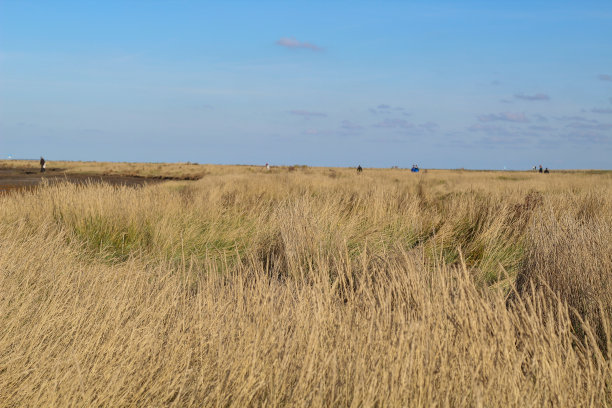 海德吉里泽尔，北德图片下载