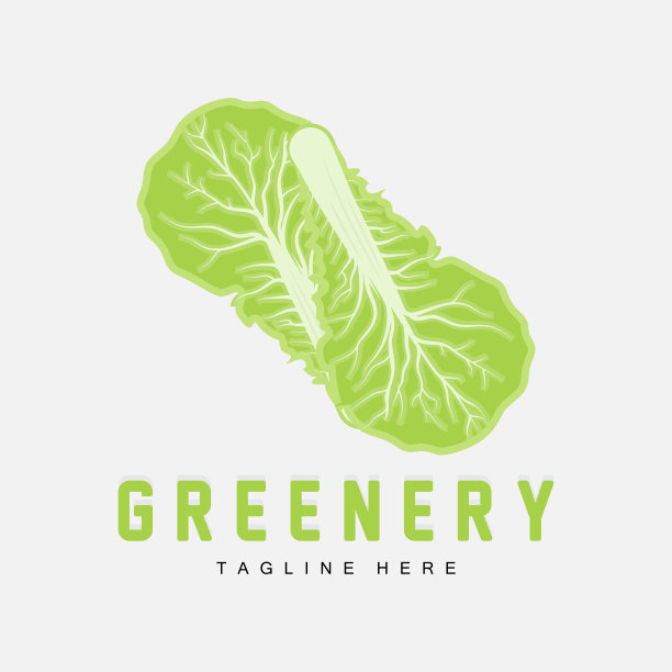 白菜标志设计绿色植物载体泡菜食品配料图片下载