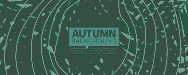 树叶插图股票背景图片下载