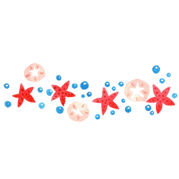 沙美元泡泡和海星镶边的圣诞装饰，用来装饰夏天的圣诞假期。图片下载