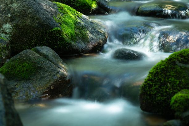 一条小溪的特写，用长时间的曝光效果，周围有青苔，绿色的石头图片下载