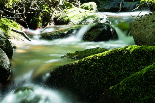 一条小溪的特写，用长时间的曝光效果，周围有青苔，绿色的石头图片下载