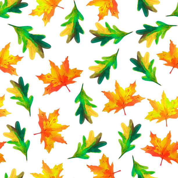 树叶秋天枫木橡木水彩无缝图案图片下载