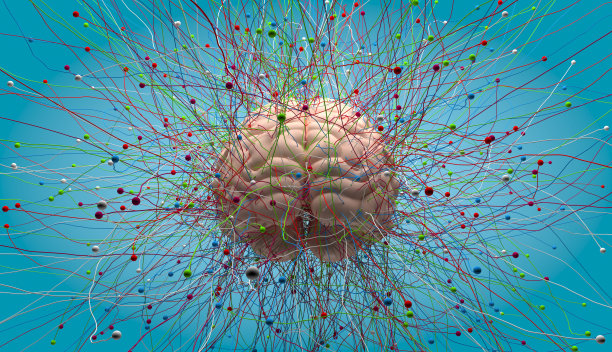 创造性的大脑图片下载