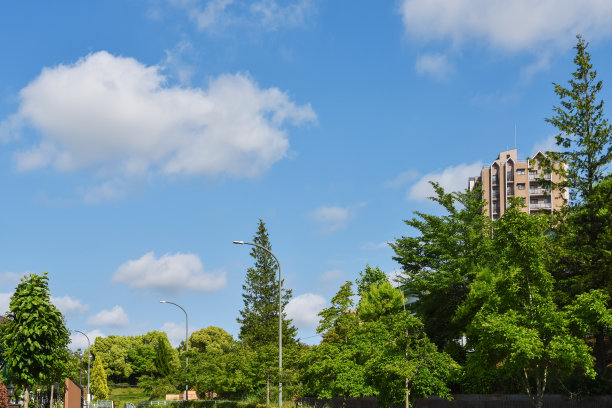 自然资源丰富的居住区图片下载