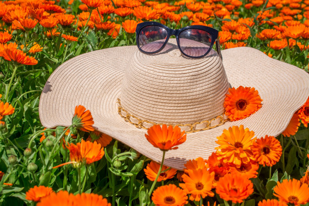 盛开的金盏花和夏天的帽子。彩色宽横向花墙纸图片下载