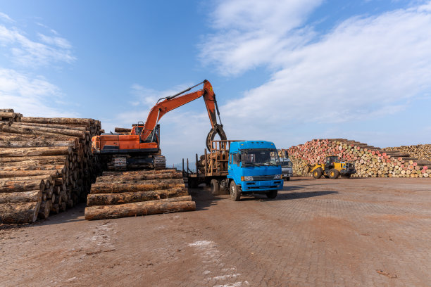 木材港口的叉车将木材装卸到卡车上图片下载