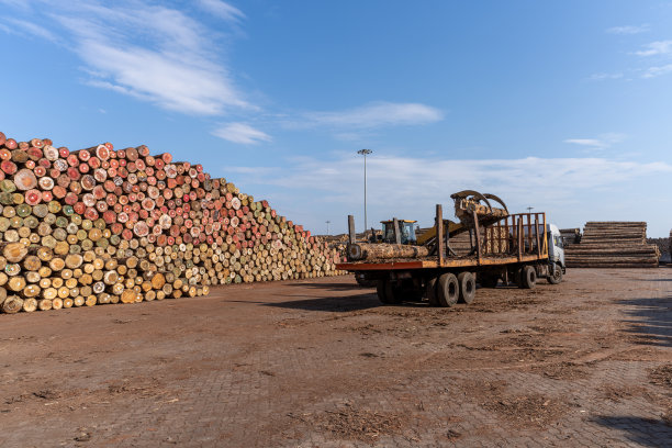 露天木材场的叉车和卡车正在搬运木材图片下载