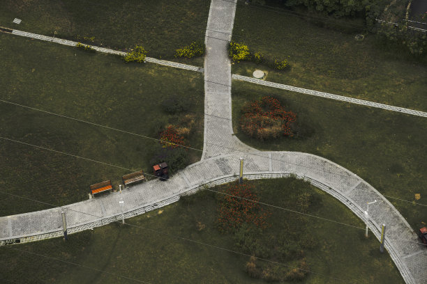 秋天的草地、树木和道路图片下载