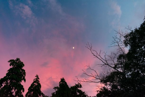日落时粉红色天空的低空照片，有月亮和云图片下载