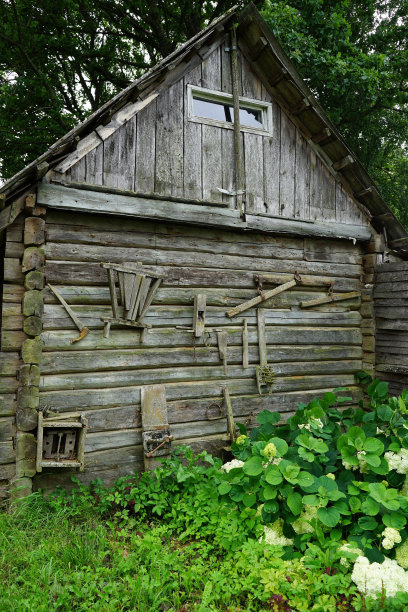 一间简陋的小木屋被郁郁葱葱的绿树环绕图片下载