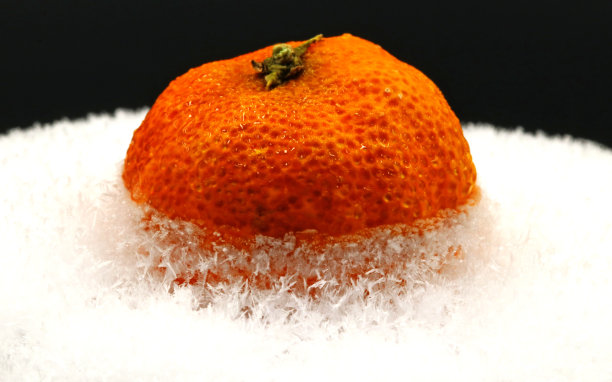 冻在雪地里的橘子图片下载