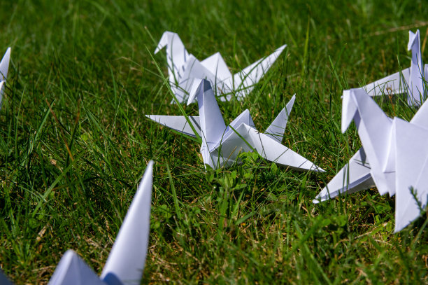 日本1000折折纸鹤在新鲜的草地上图片下载