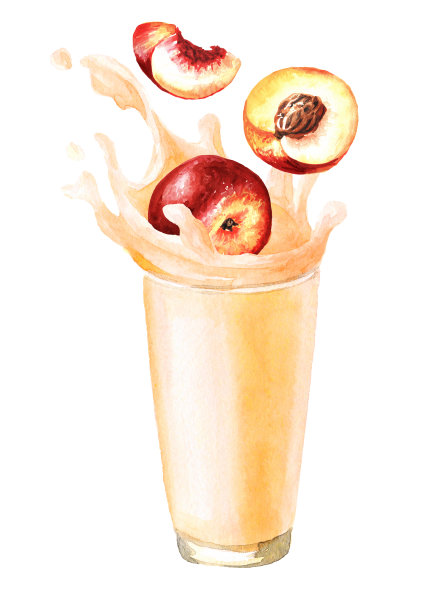 玻璃飞溅。桃子牛奶，酸奶，奶昔。手绘水彩插图孤立在白色背景图片下载