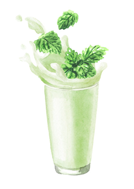 玻璃飞溅。薄荷牛奶，酸奶，奶昔。手绘水彩插图孤立在白色背景图片下载