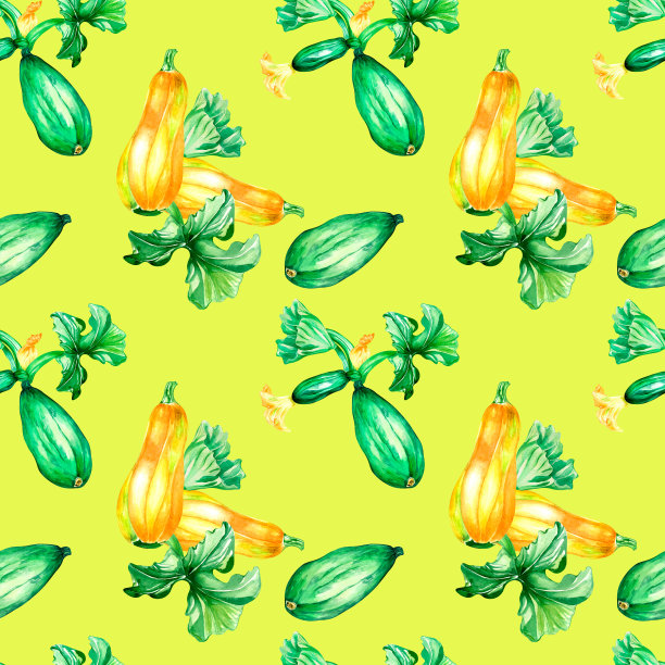 各种西葫芦植物水彩插画无缝图案图片下载