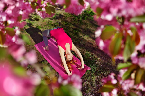 瑜伽女孩在盛开的树下做桥的姿势图片下载