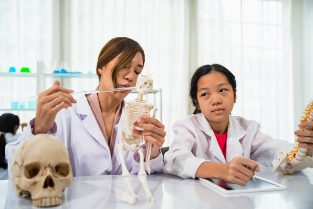 正在上科学课的亚洲女教师正在给小学学生们讲解人体骨骼。图片下载