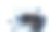网络摄像头图片下载