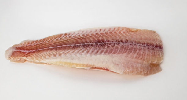 新鲜罗非鱼片孤立在白色背景。图片下载