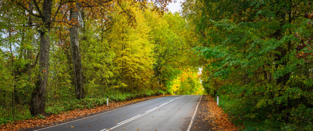 大画幅秋路全景图图片下载