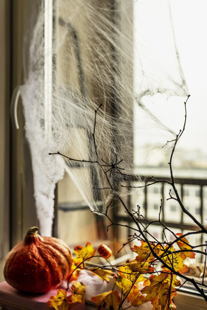 万圣节的概念，用蜘蛛网、秋天的黄叶、光秃秃的树枝和黑暗背景下的南瓜装饰窗户图片下载