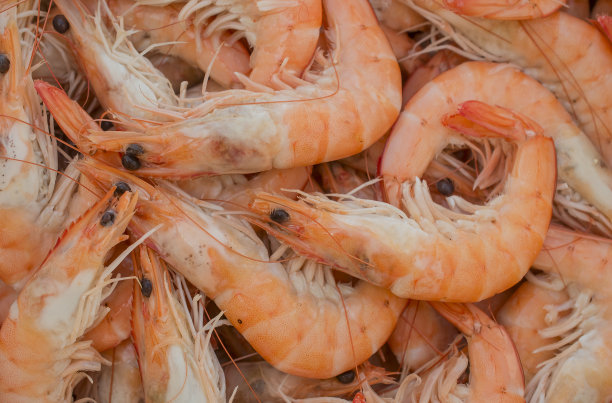 市场上出售的新鲜大虾的背景图片下载