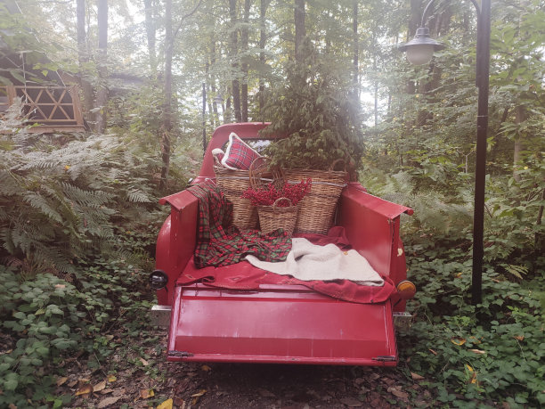 旧皮卡上的圣诞花图片下载