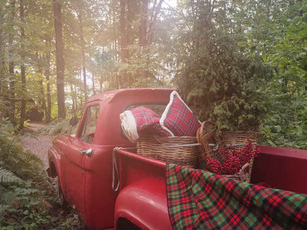 旧皮卡上的圣诞花图片下载